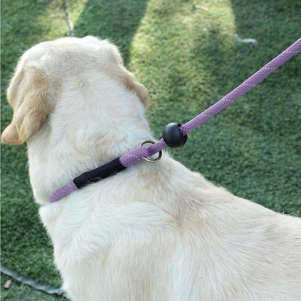 Dog leash - Picture 5 of 5